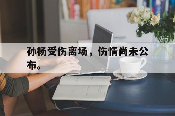 爱游戏全站app官方网站-孙杨受伤离场，伤情尚未公布。
