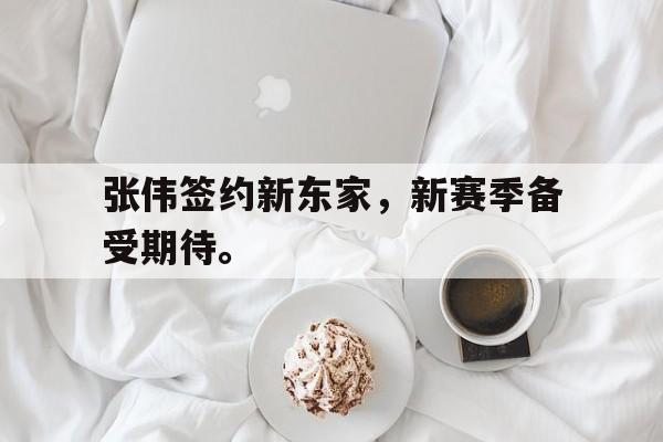 爱游戏全站app官方网站-张伟签约新东家，新赛季备受期待。
