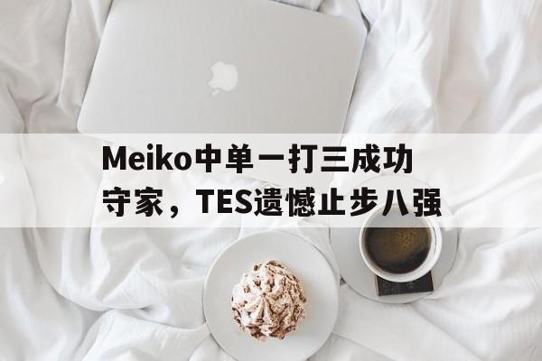 爱游戏app下载-Meiko中单一打三成功守家，TES遗憾止步八强
